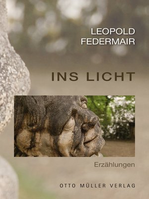 cover image of Ins Licht